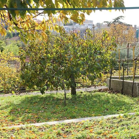 Il Gelsomino Villa Trieste Bagian luar foto