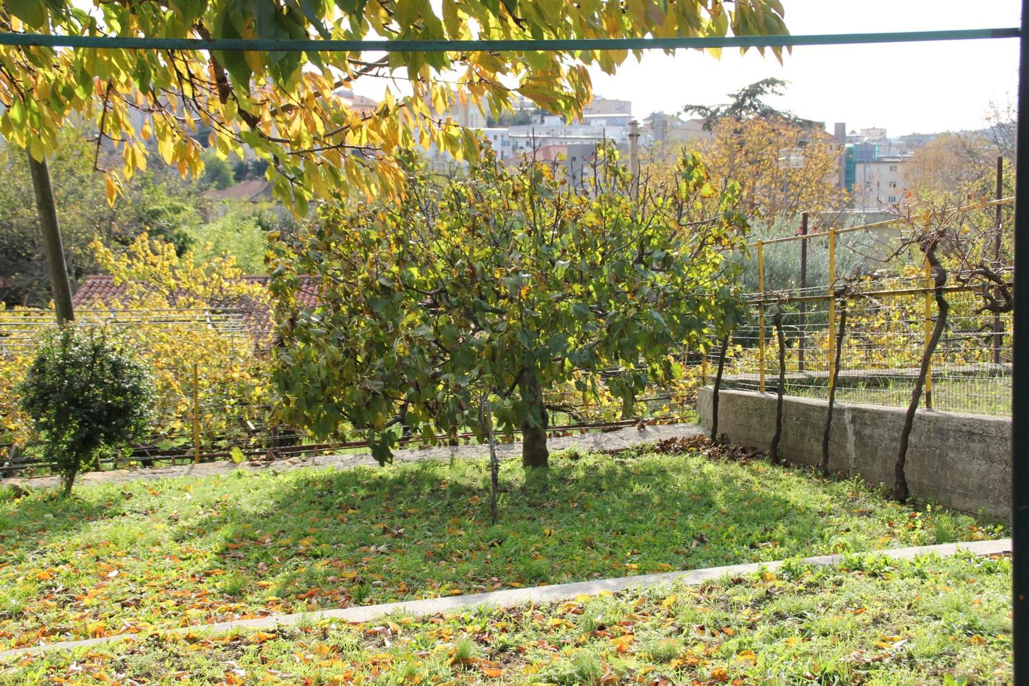 Il Gelsomino Villa Trieste Bagian luar foto