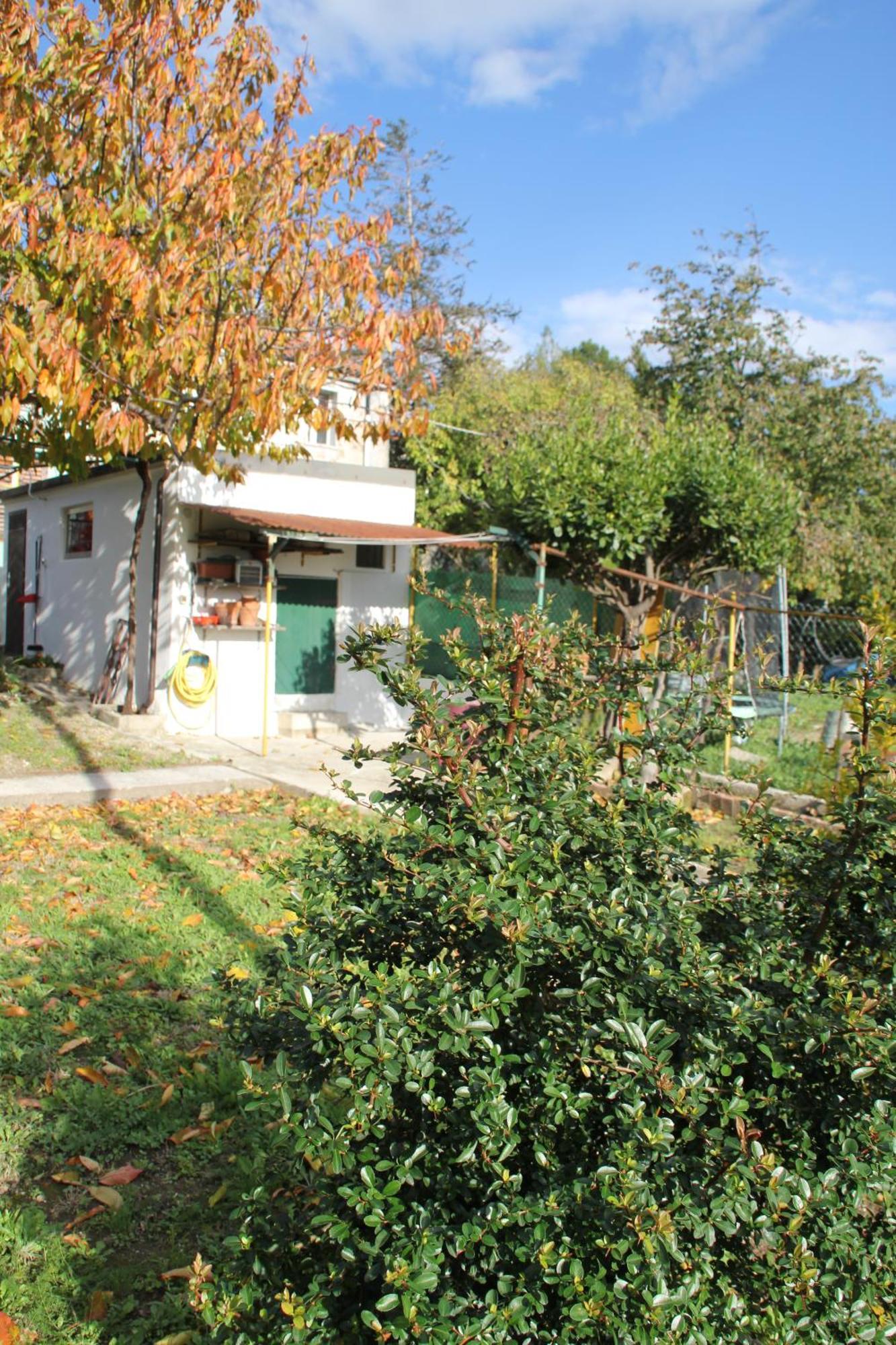 Il Gelsomino Villa Trieste Bagian luar foto