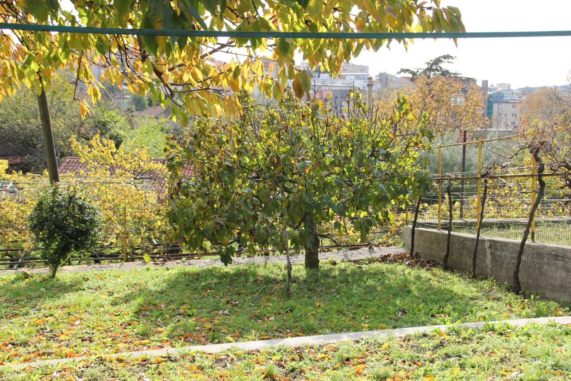 Il Gelsomino Villa Trieste Bagian luar foto