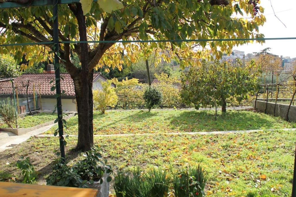 Il Gelsomino Villa Trieste Bagian luar foto